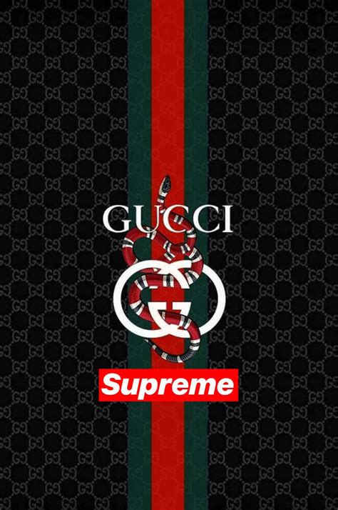 heat supreme and gucci